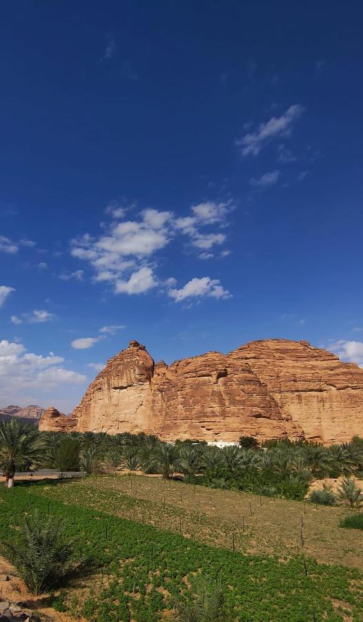 الجوهرة Diamond Plus Villa Al-`Ula Eksteriør billede