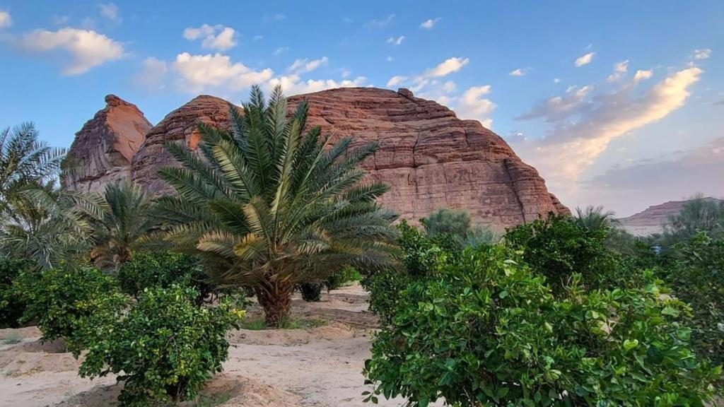الجوهرة Diamond Plus Villa Al-`Ula Eksteriør billede
