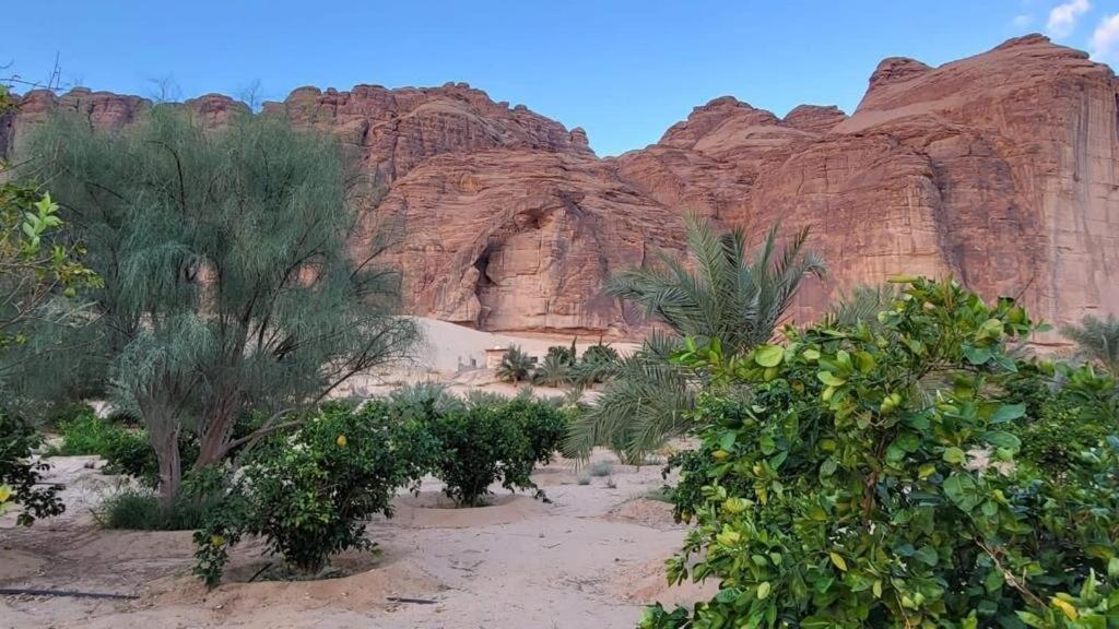 الجوهرة Diamond Plus Villa Al-`Ula Eksteriør billede