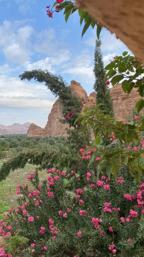 الجوهرة Diamond Plus Villa Al-`Ula Eksteriør billede